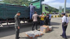 Tim Gabungan Gagalkan Penyelundupan 285 Ekor Burung Ilegal di Pelabuhan Lombok Tim Gabungan Gagalkan Penyelundupan 285 Ekor Burung Ilegal di Pelabuhan Lombok