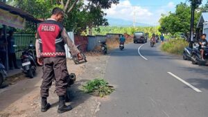 Kecelakaan Maut di Lombok Utara, Pengendara Tewas di Tempat
