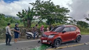 Tabrakan Maut Libatkan Wisatawan Asing di Lombok Timur, Balita Jadi Korban