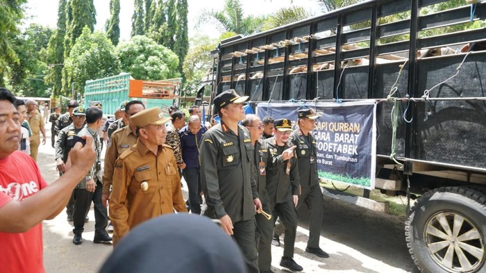 22.989 Hewan Ternak NTB Dikirim ke Pulau Jawa: Karantina Pastikan Sehat dan Bebas PMK