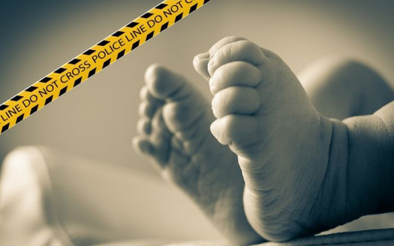 Polisi Selidiki Penemuan Mayat Bayi di Hutan Lindung Lombok Utara