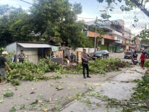 Respons Cepat Polisi, Pohon Tumbang di Sarae Bima Berhasil Dievakuasi