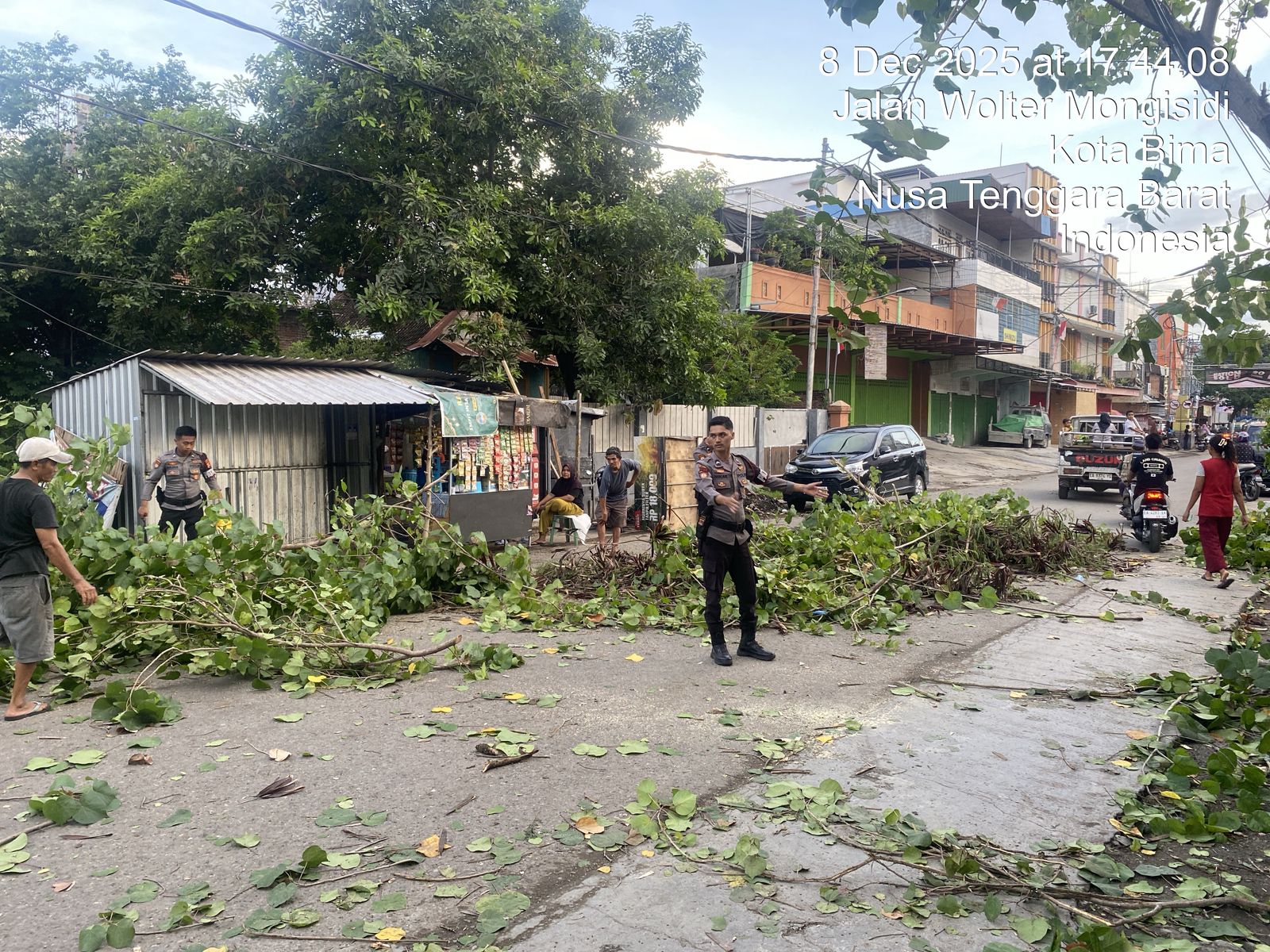 Respons Cepat Polisi, Pohon Tumbang di Sarae Bima Berhasil Dievakuasi