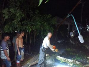 Cuaca Ekstrem Landa NTB, Polsek Gunungsari Sigap Tangani Pohon Tumbang